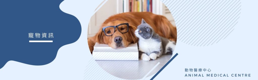 動物看護学 ANIMAL NURSING 61C90zNwuvS._UF1000,1000_QL80_.jpg