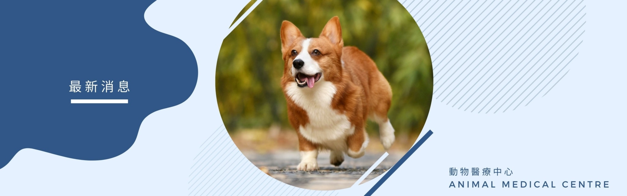 Animal Medical Centre 旺角診所歡迎新醫生加入！ - 動物醫療中心Animal Medical Centre