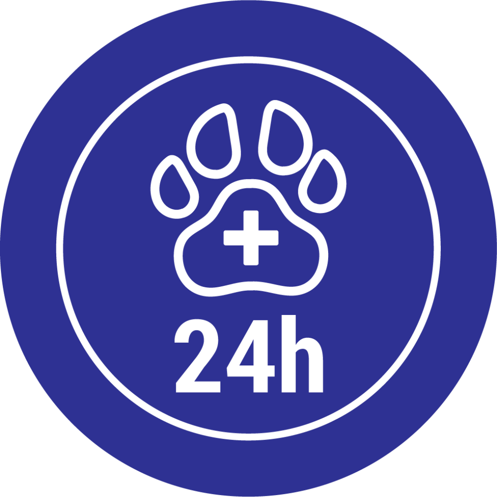 24小時緊急獸醫服務| 旺角獸醫夜診- 動物醫療中心